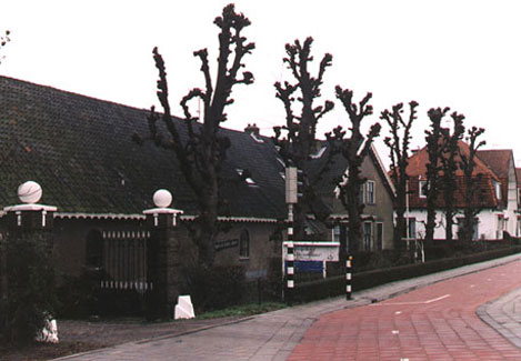 kale linden in februari 2001